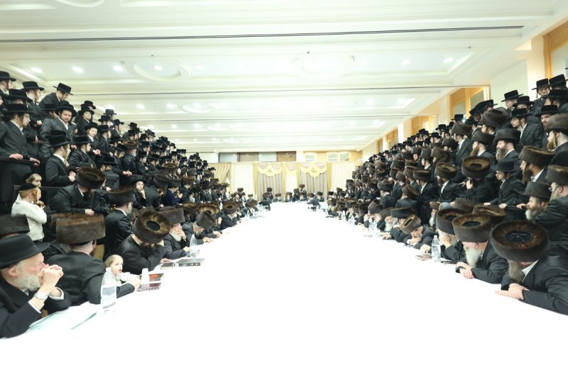 שלומי טריכטר