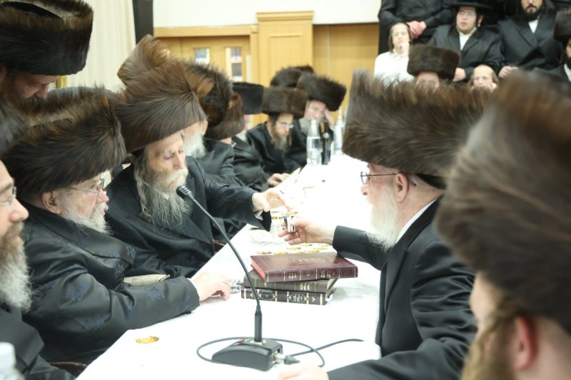 שלומי טריכטר