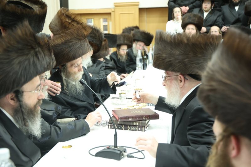 שלומי טריכטר