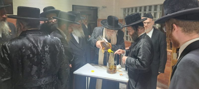 באדיבות המצלם