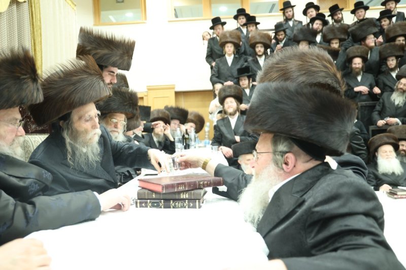 שלומי טריכטר