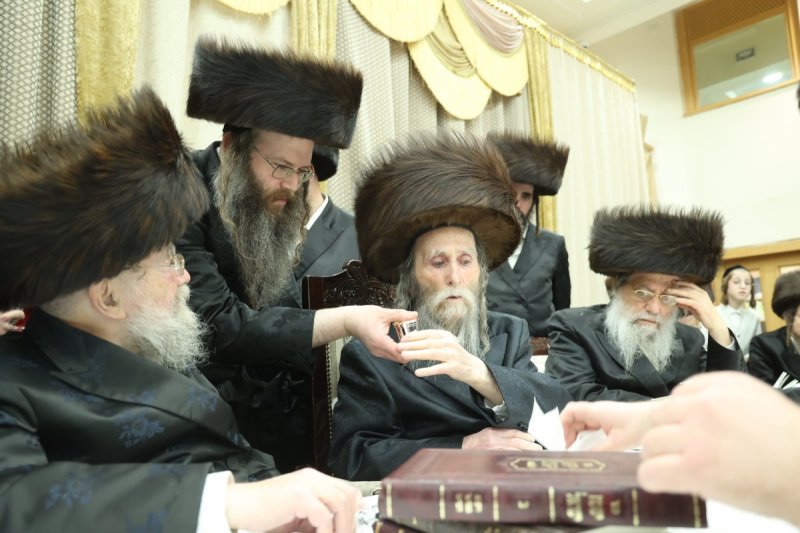 שלומי טריכטר