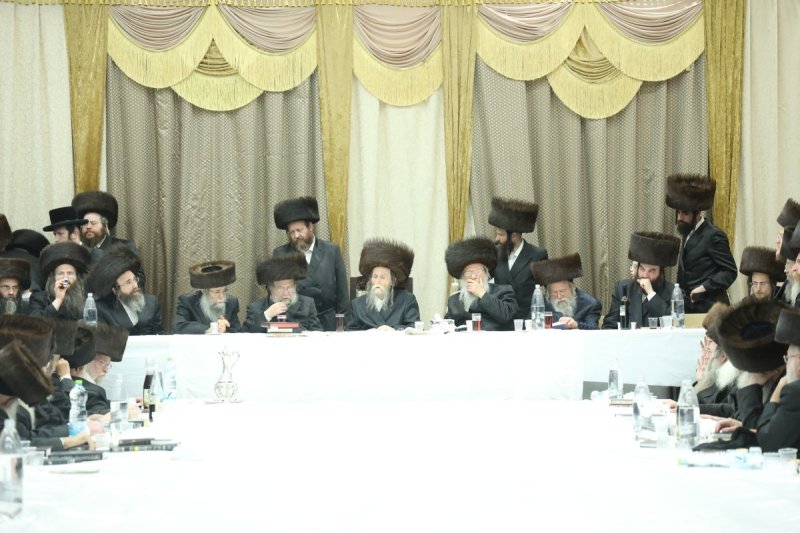 שלומי טריכטר
