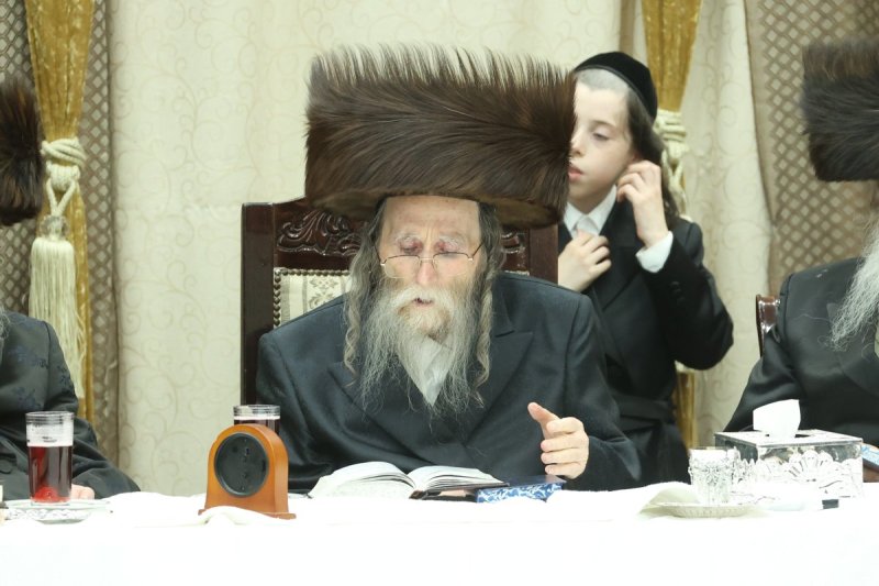 שלומי טריכטר