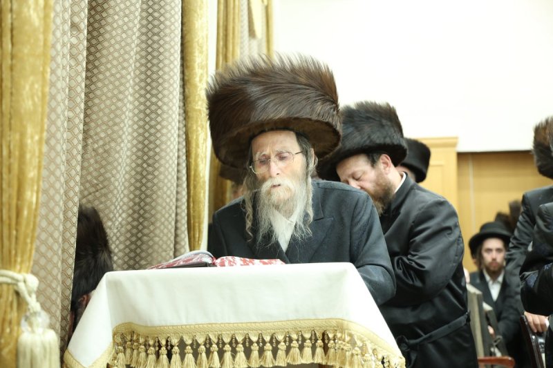 שלומי טריכטר