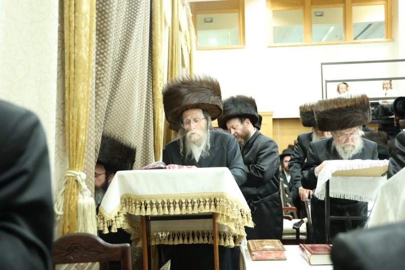 שלומי טריכטר