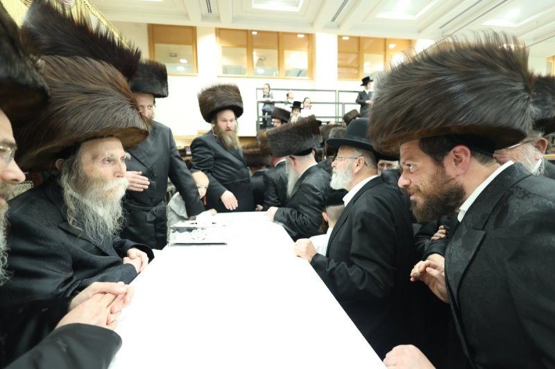 שלומי טריכטר