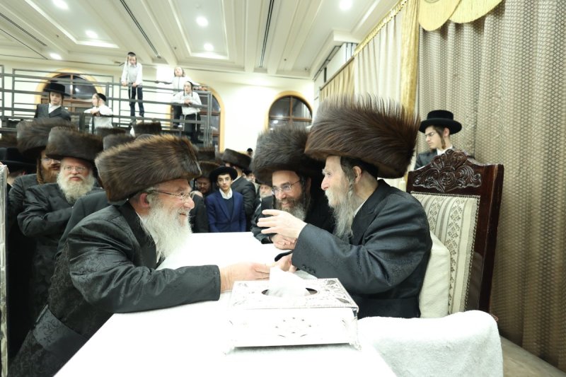 שלומי טריכטר