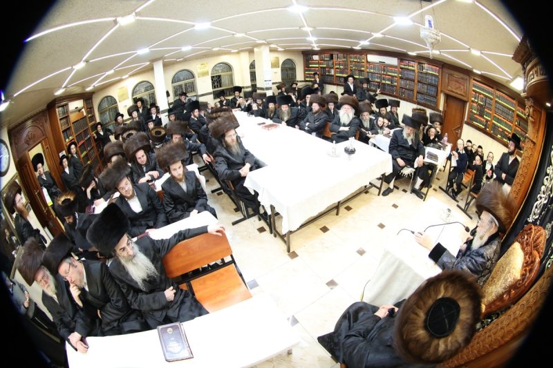 שלומי טריכטר