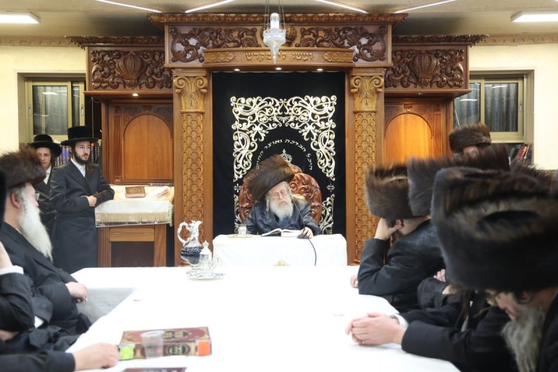 שלומי טריכטר