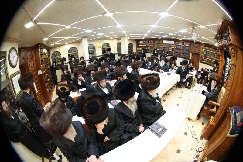 שלומי טריכטר