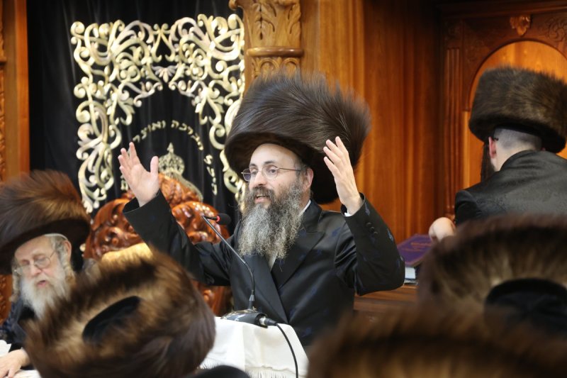 שלומי טריכטר