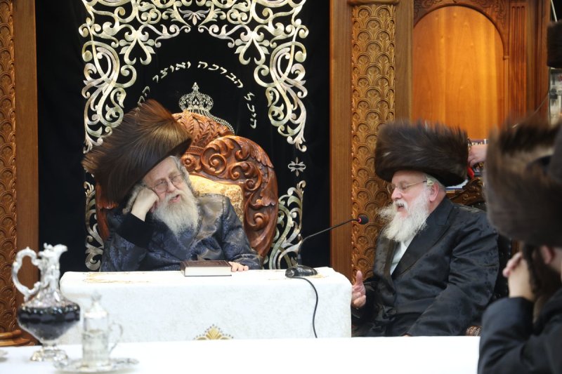 שלומי טריכטר