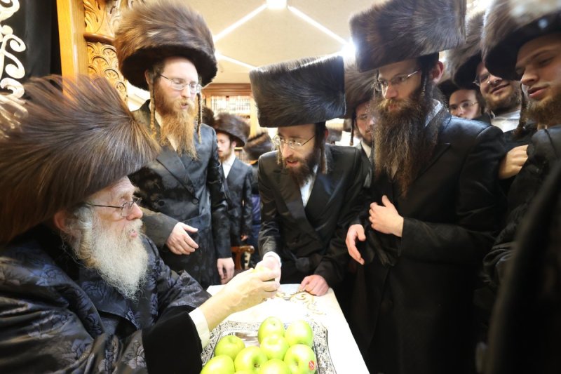 שלומי טריכטר