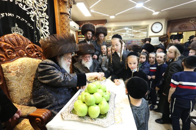 שלומי טריכטר