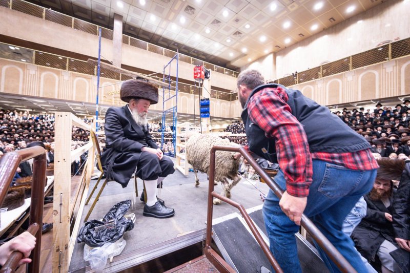 האחים לענטשעווסקי