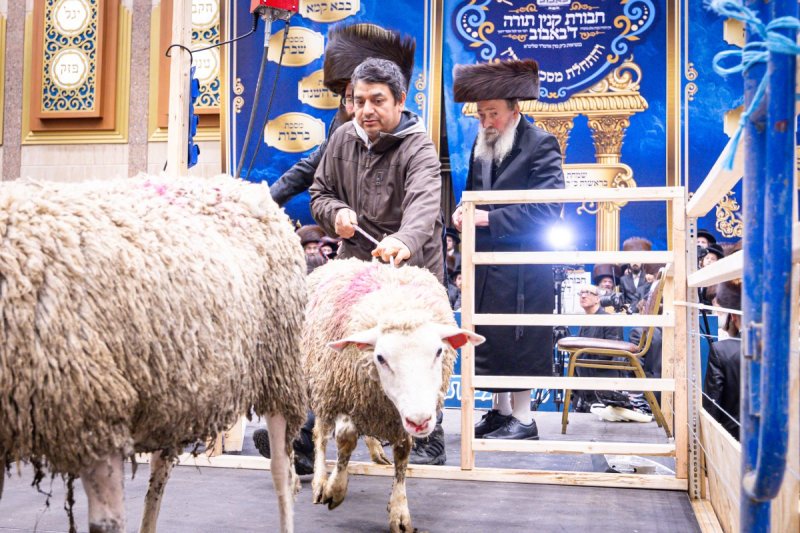 האחים לענטשעווסקי