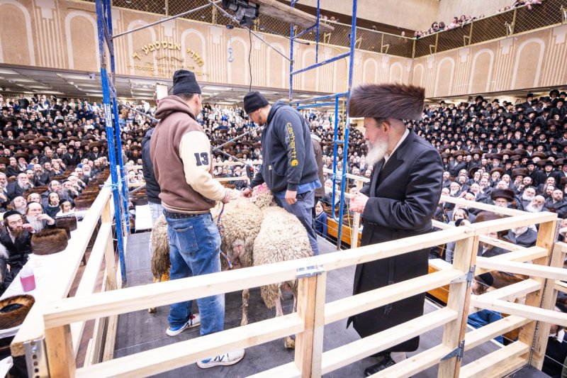 האחים לענטשעווסקי