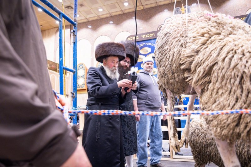 האחים לענטשעווסקי