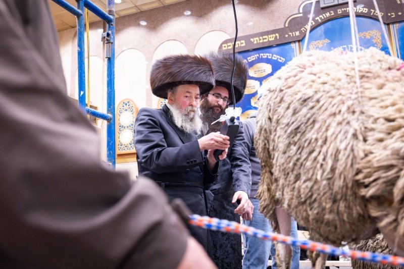 האחים לענטשעווסקי