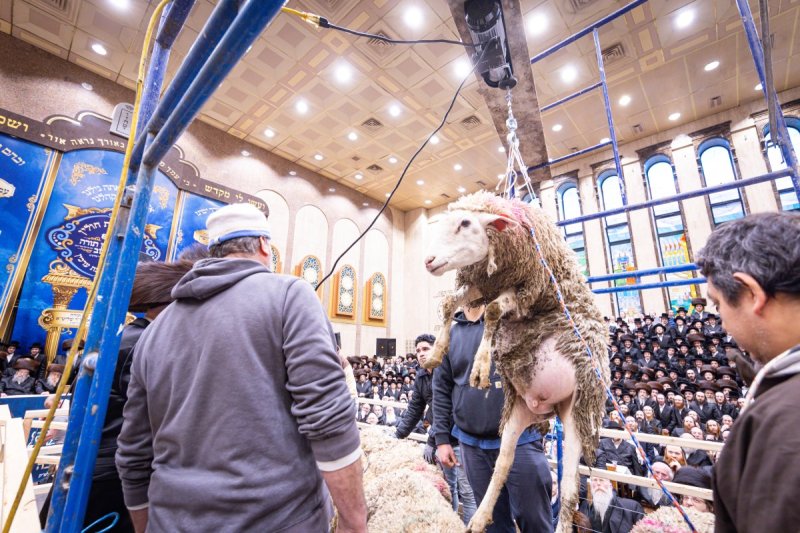 האחים לענטשעווסקי