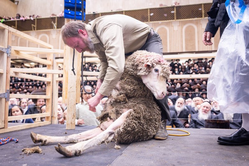 האחים לענטשעווסקי