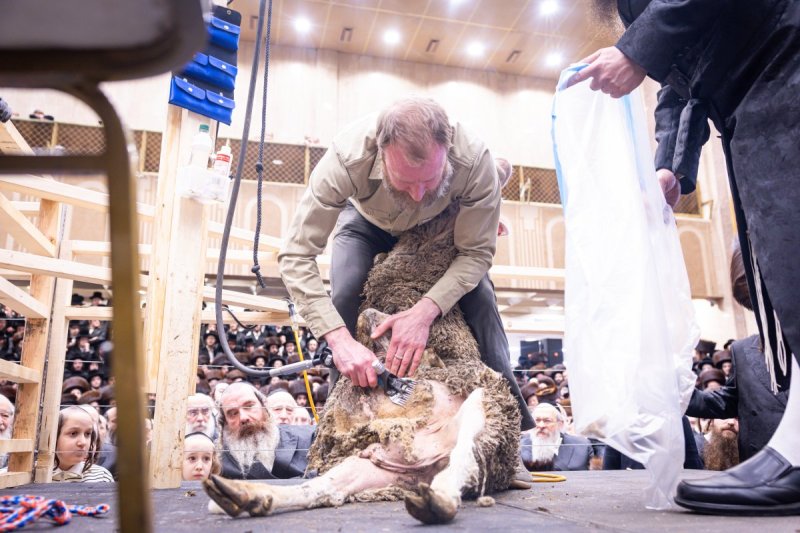 האחים לענטשעווסקי