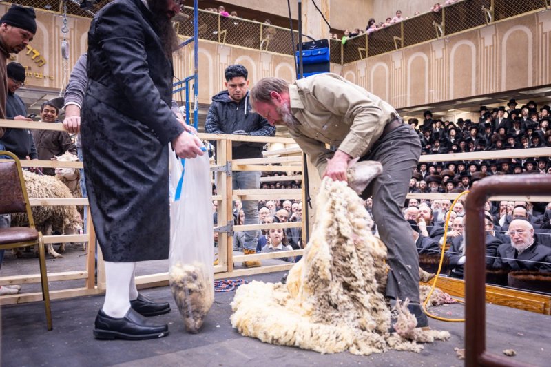 האחים לענטשעווסקי