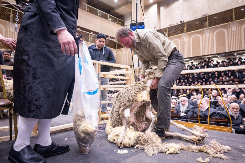 האחים לענטשעווסקי
