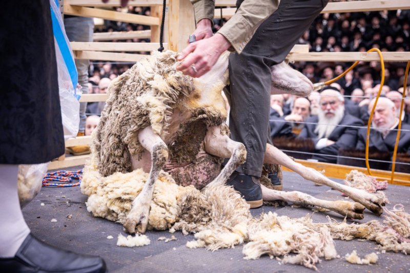 האחים לענטשעווסקי