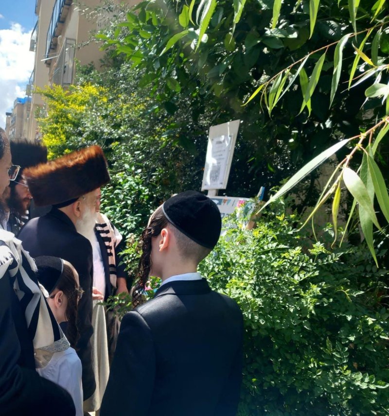 איתי קצב