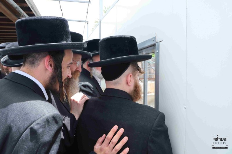 הערשי לינדנבוים