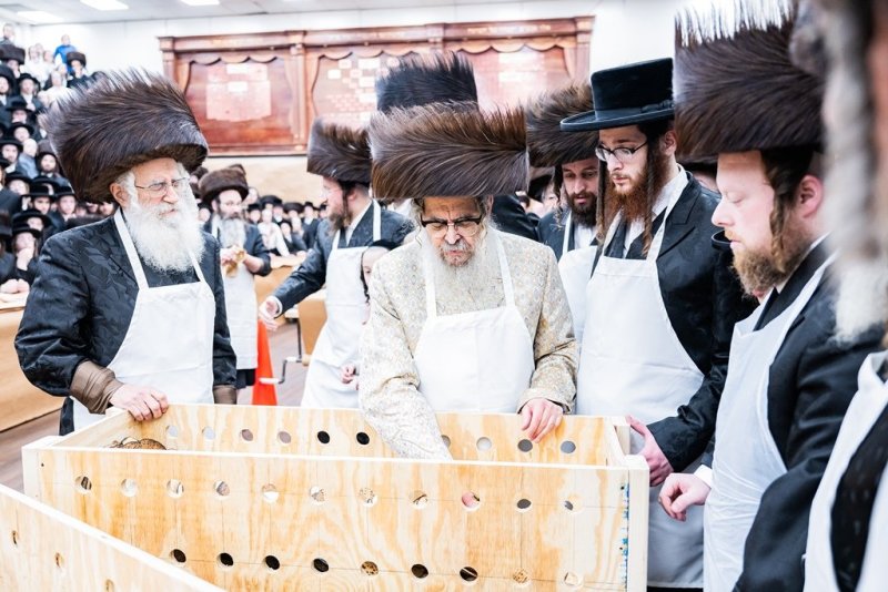 בחצרות סאטמר