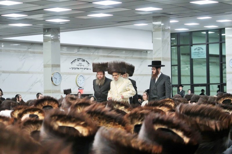 בחצרות סאטמר