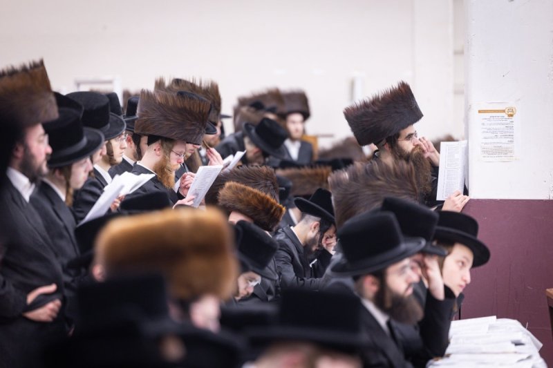 אברומי בלום