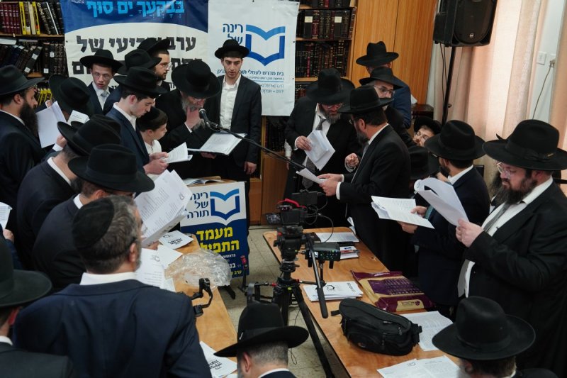 רינה של תורה