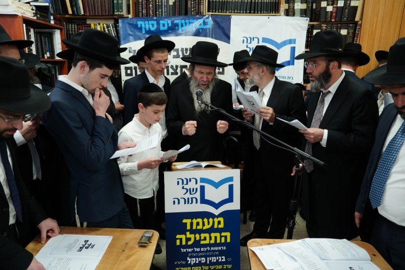 רינה של תורה