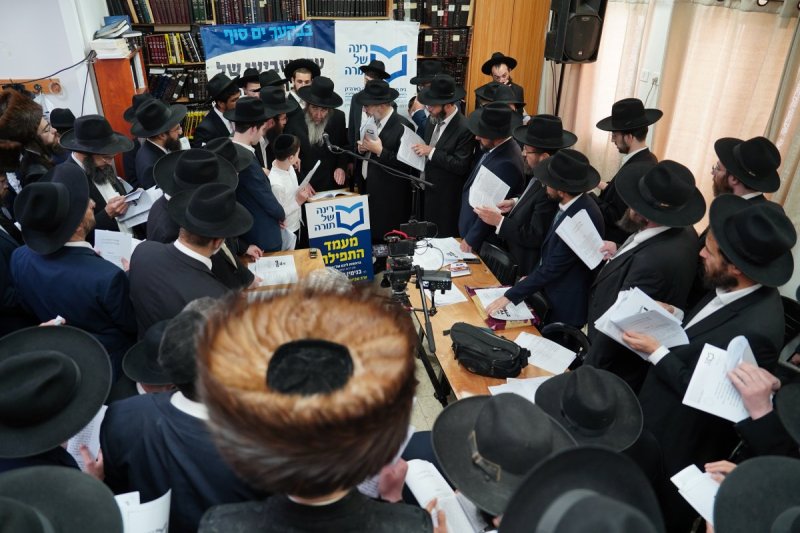 רינה של תורה