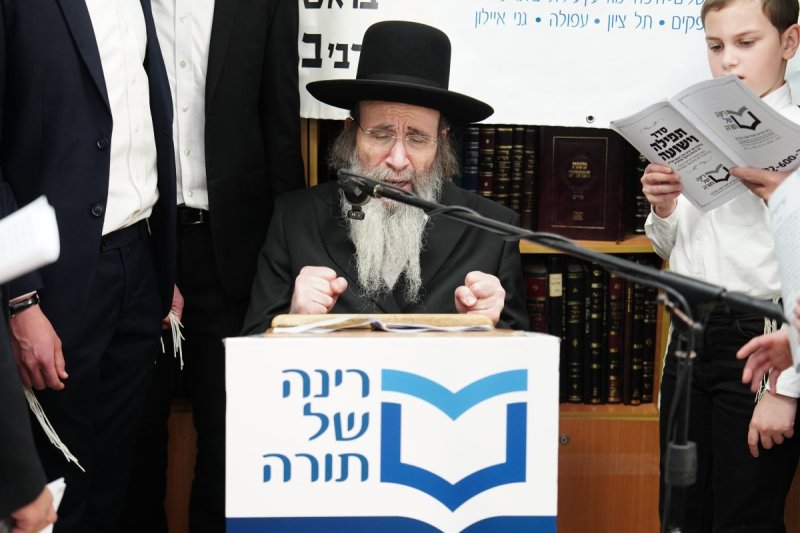 רינה של תורה