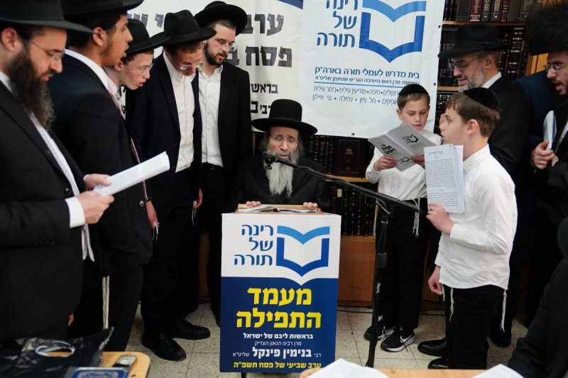 רינה של תורה