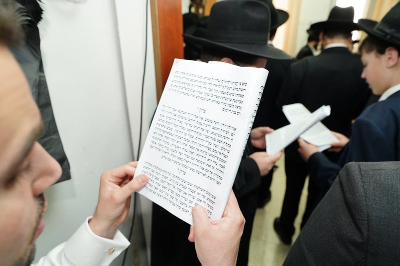 רינה של תורה