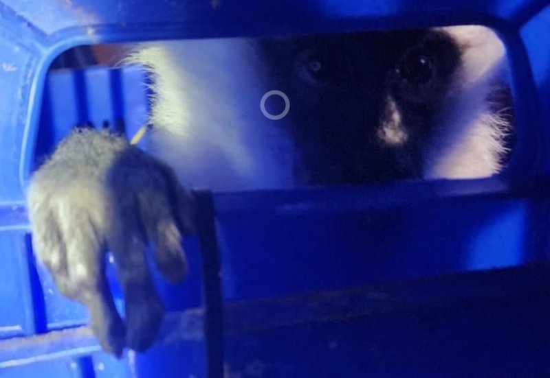 דוברות משטרת ישראל ורשות הטבע והגנים