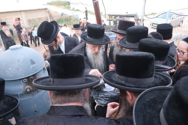 שימי פ.