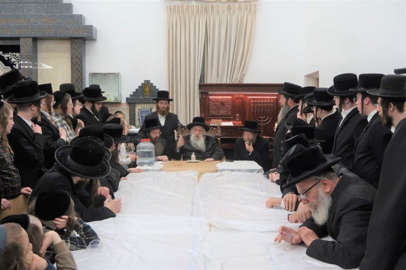שימי פ.
