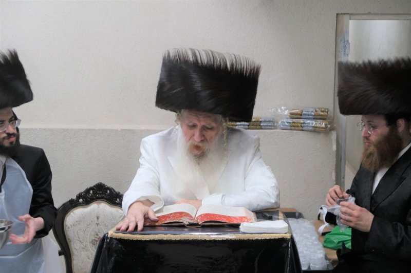 שימי פ.