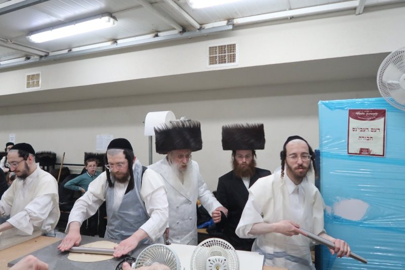 שימי פ.