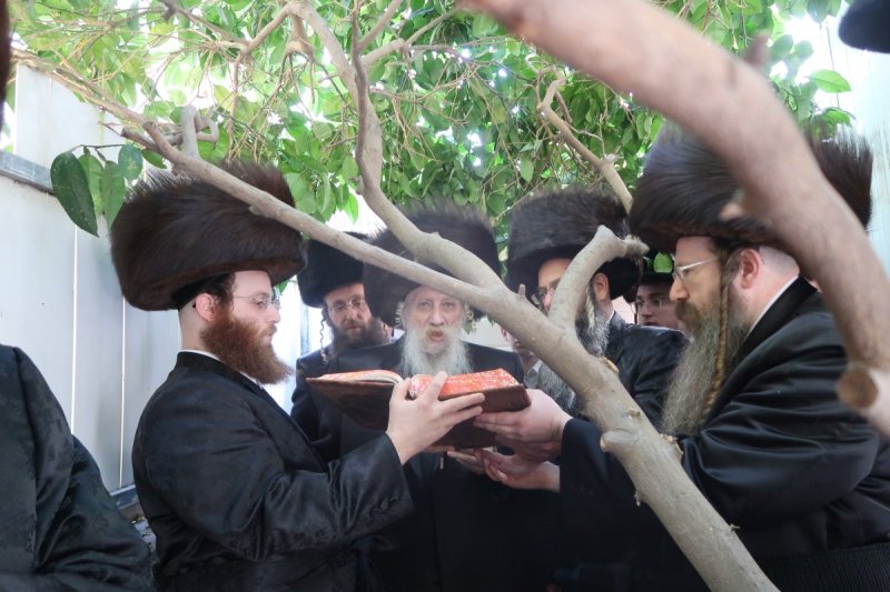 שימי פ.