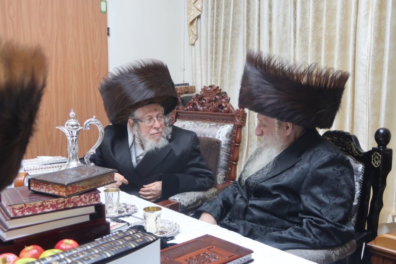 שימי פ.