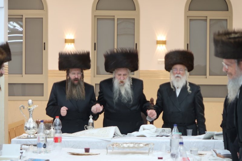 שימי פ.