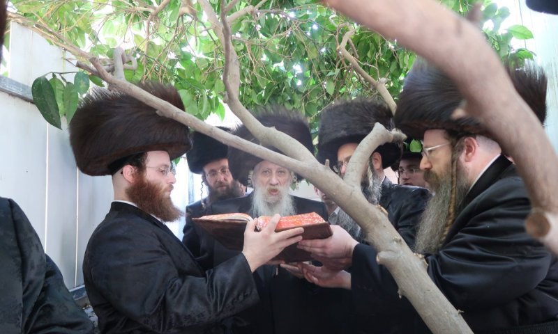 תיעוד מסכם מאשדוד: פסח במחיצת הרבי מטשארנאביל